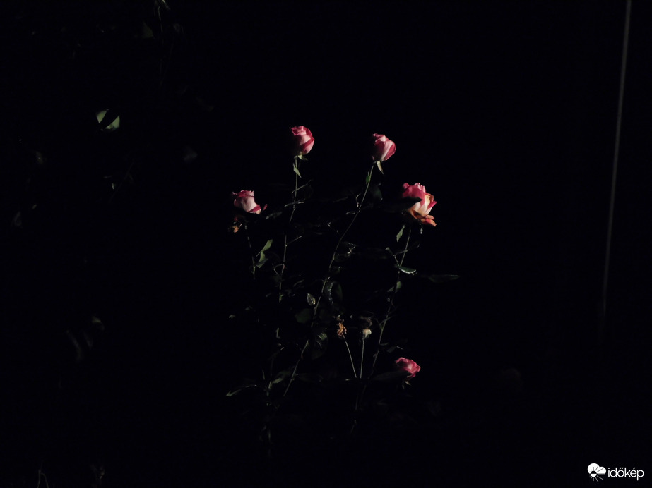 kiszűrődő fényben