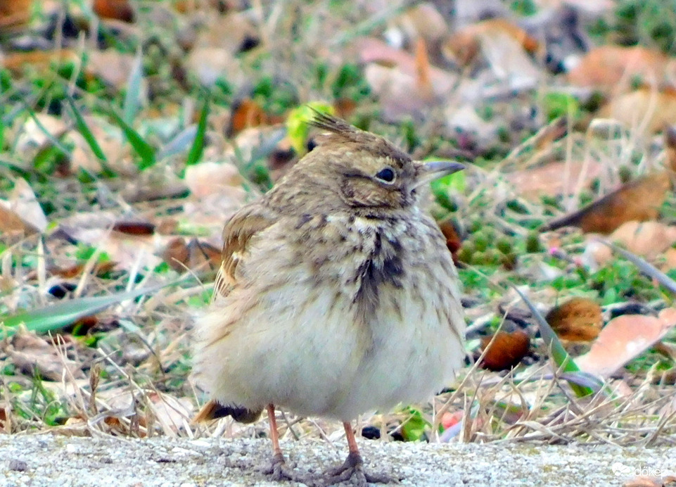 hol a tegnapi jó idő ? nincs melegem