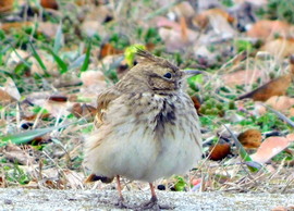hol a tegnapi jó idő ? nincs melegem
