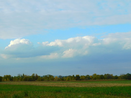 lica fotója