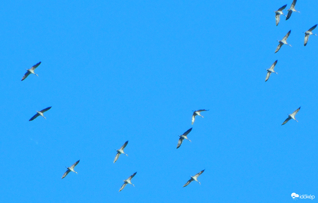 szálltak a  darvak :)