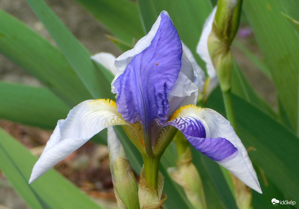 :)