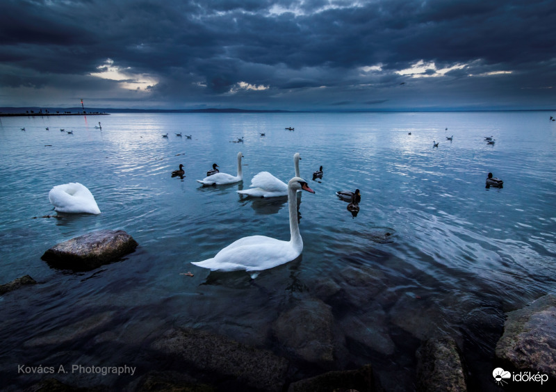 Vihar előtti csend !