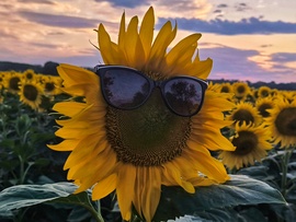 Esti fényekben bohókásan