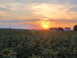 Elköszönőben