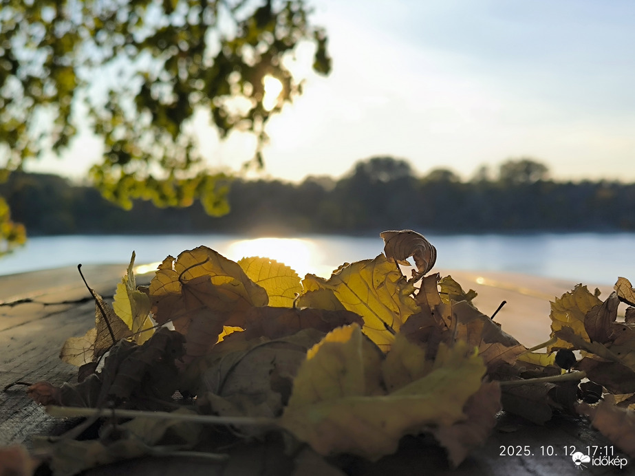 Duna parton falevelek