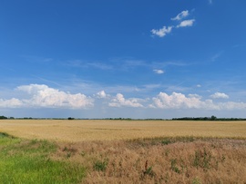 Jászkarajenő