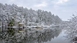 Dráva holtág 2025.11.23. Barcs