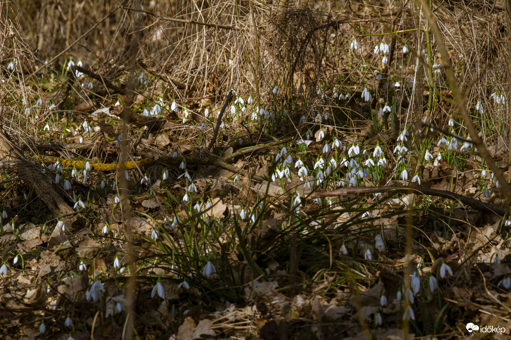 Bárhová lépek... :))