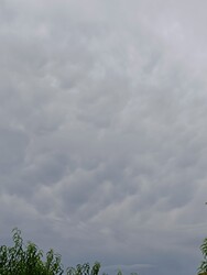 Tököl