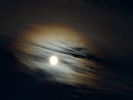 Hold halo