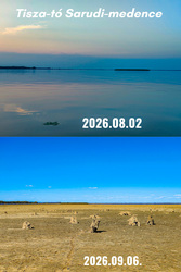 Tisza-tó Sarudi medence 