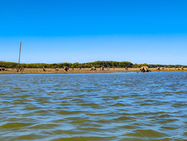 Tisza-tó 