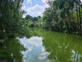Dunaújváros 