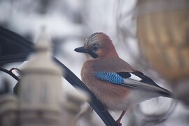 lneannamaria fotója