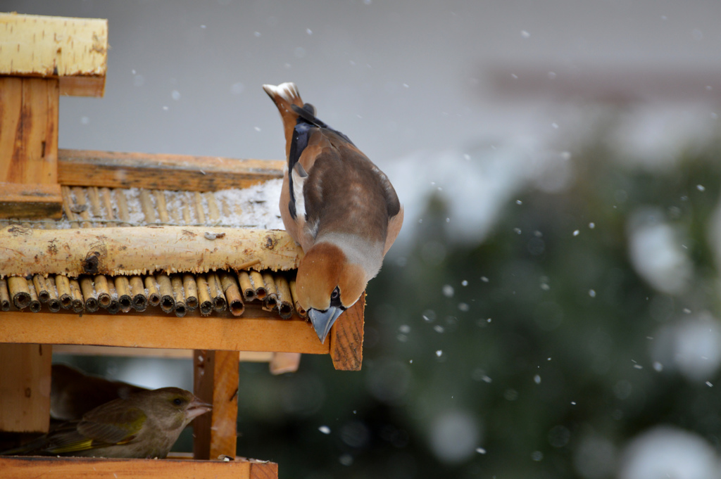  hahó megérkeztem..én is szeretnék vacsizni..