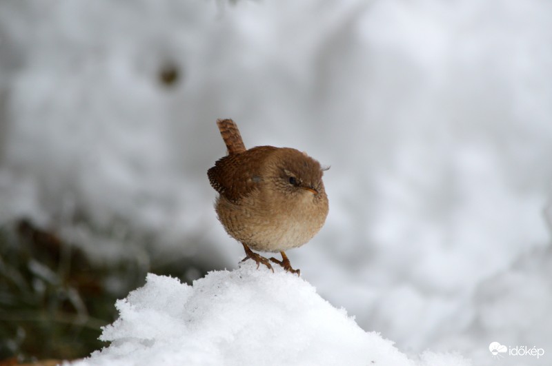 A hókupac tetején..