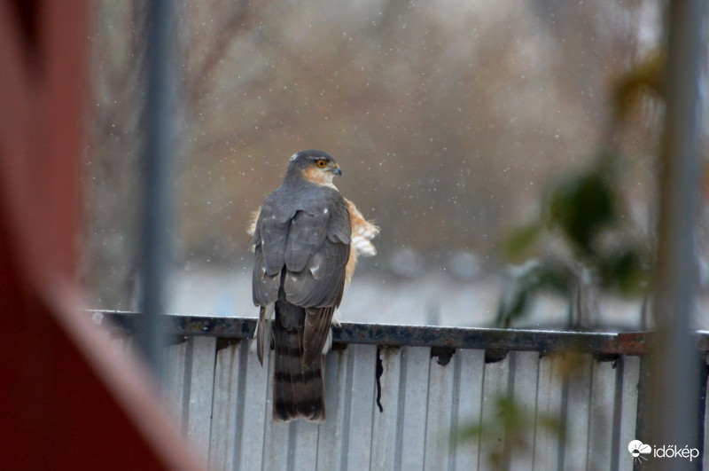 Egy rövid pihenő... 
