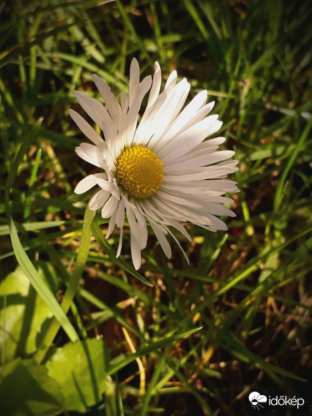 Novemberi szépség...