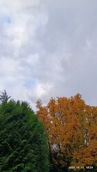 Mosonmagyaróvár