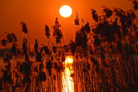 Márciusi naplemente a Balatonon