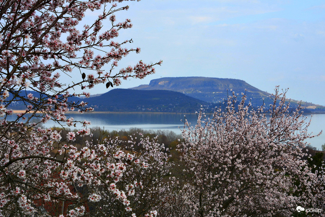 Mandula virágzás és a Tanúhegyek