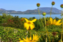 Szeptemberi panoráma 