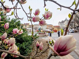 Végre szélcsend Szombathelyen!