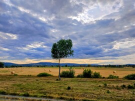 Tapolca határában 