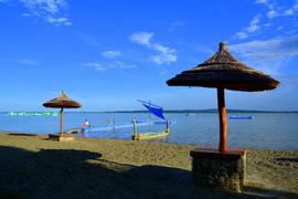 Strandon