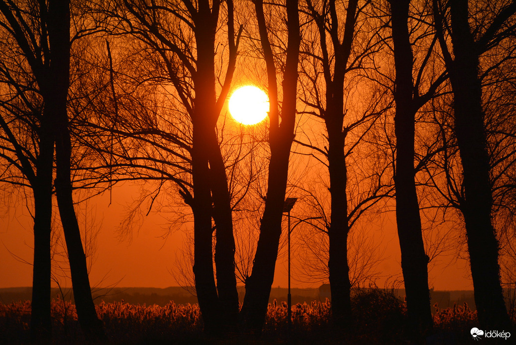 Fák között lemenő