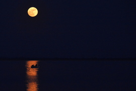 Ma esti Telihold a Balatonon