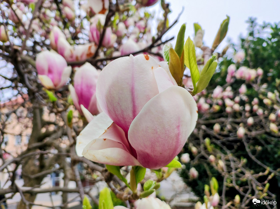 Végre szélcsend Szombathelyen!