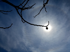 Naphaló Nagypénteken