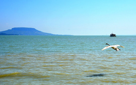 Balatongyörökön 