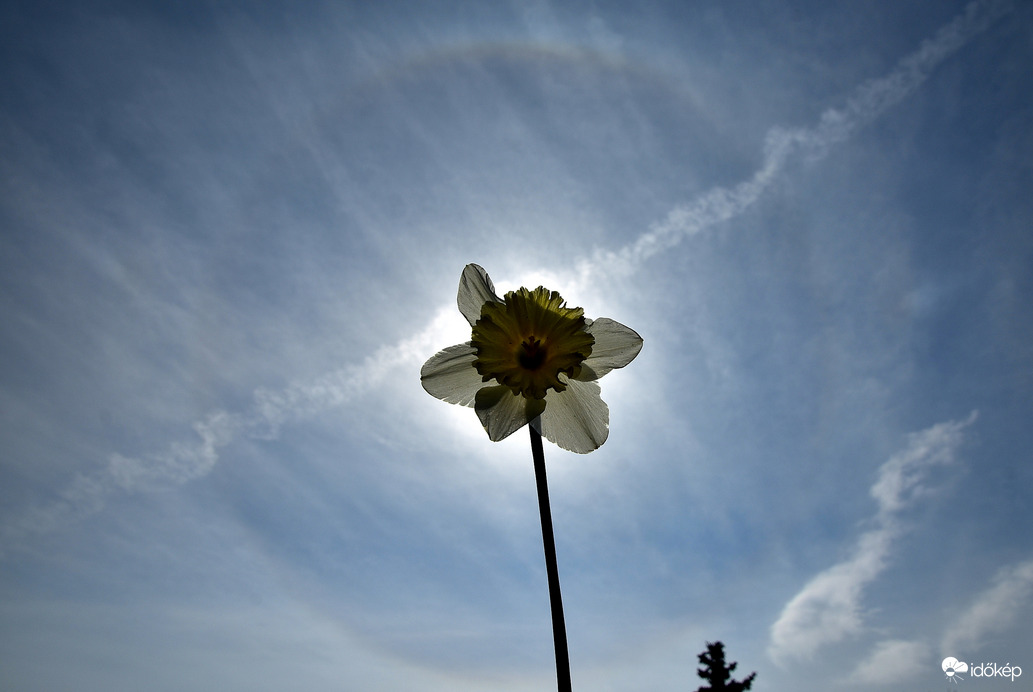 Naphaló Nagypénteken