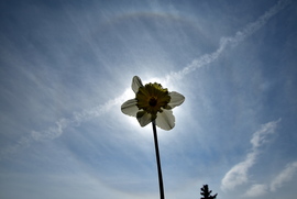 Naphaló Nagypénteken