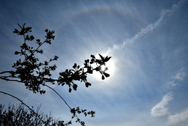 Naphaló Nagypénteken