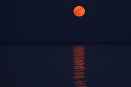 Ma esti Telihold a Balatonon