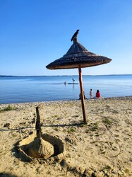 Strandon 
