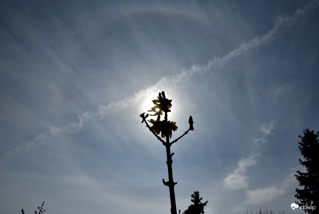 Naphaló Nagypénteken