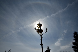 Naphaló Nagypénteken