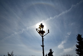 Naphaló Nagypénteken