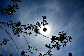 Naphaló Nagypénteken