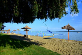Strandon