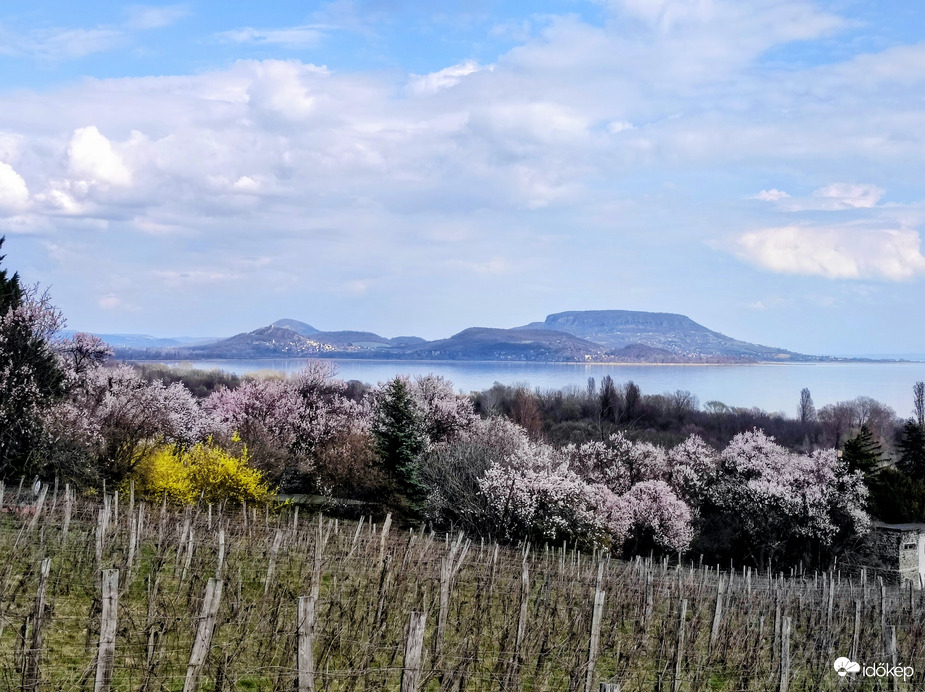 Tavasz a Balatonon 