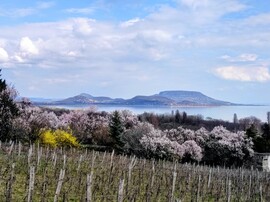 Tavasz a Balatonon 