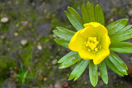 Gyönyörű téltemetők 02.12.