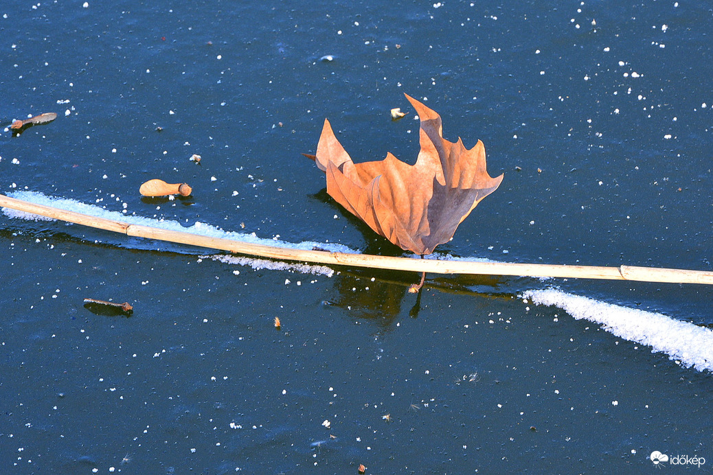 Jégbe zárt világ 01.03.