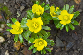 Gyönyörű téltemetők 02.12.
